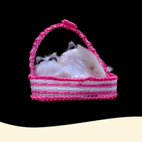 Viral Sleeping Cat