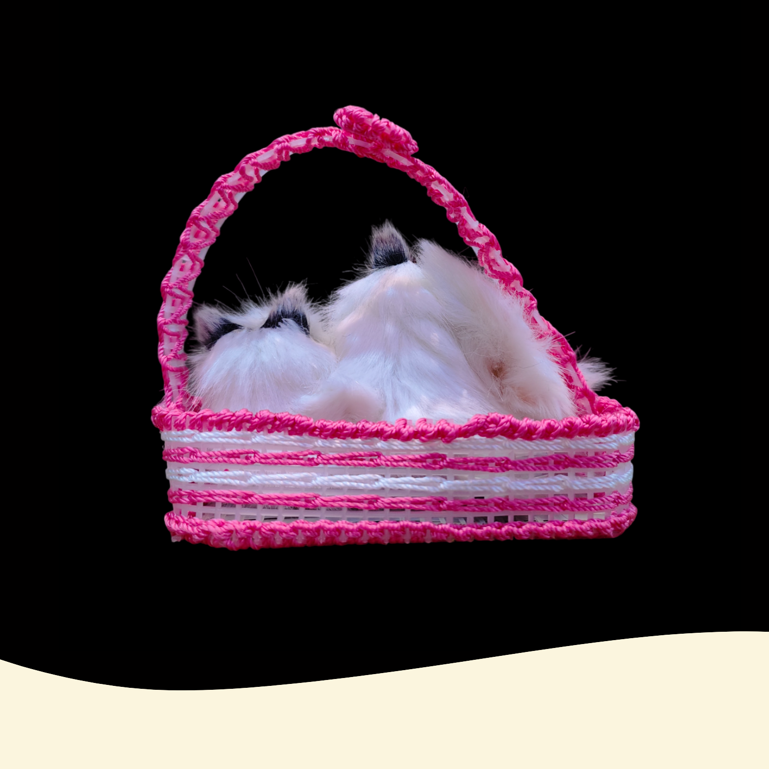 Viral Sleeping Cat