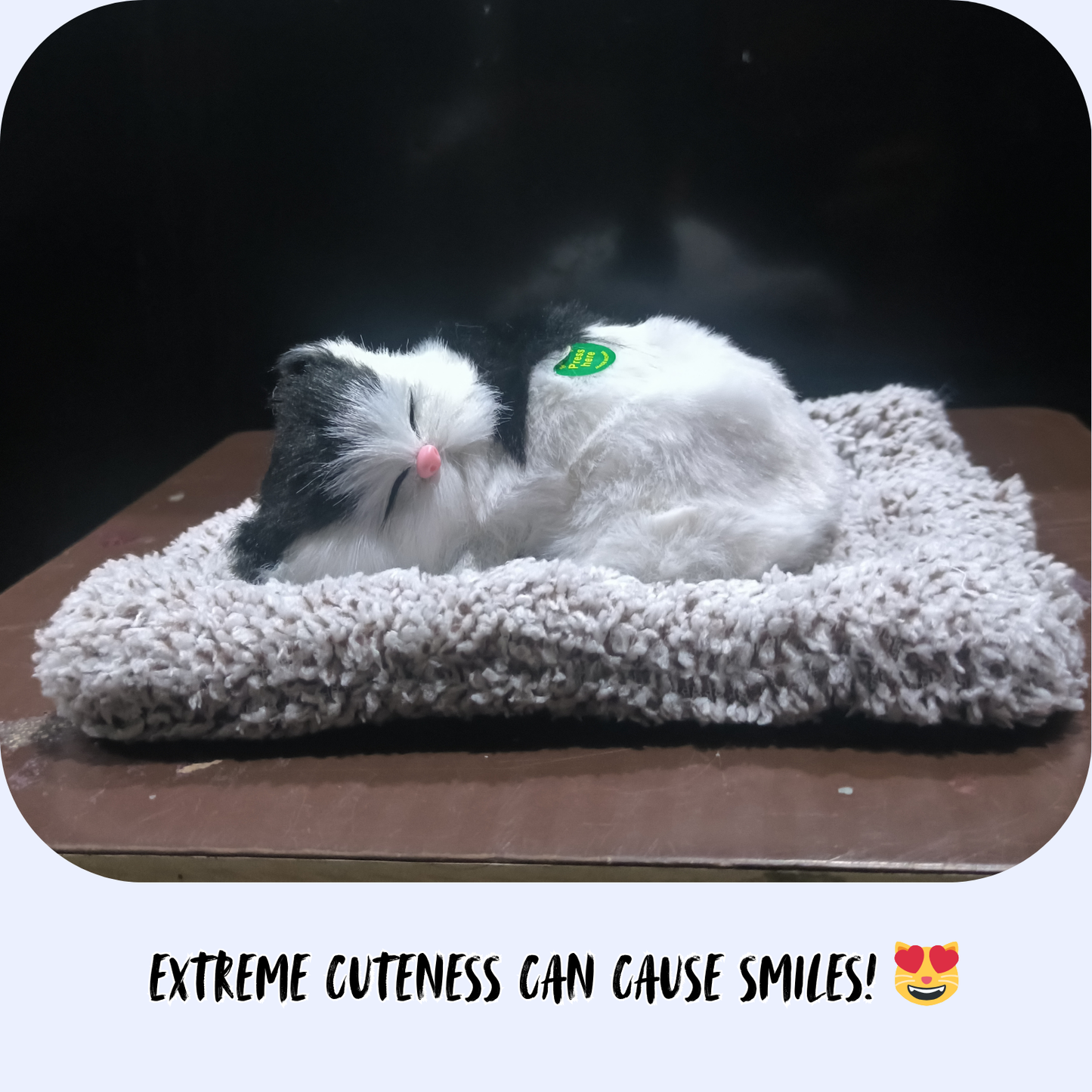 Sleeping Cat Plush – Your Forever Napping Friend