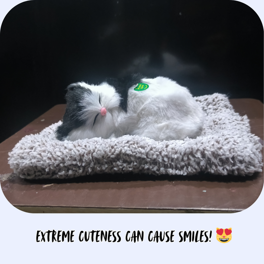 Sleeping Cat Plush – Your Forever Napping Friend