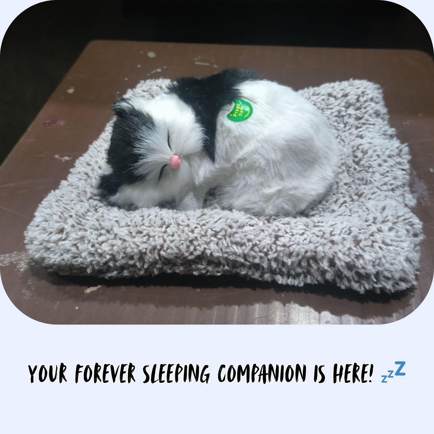 Sleeping Cat Plush – Your Forever Napping Friend