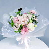 White Color Snow Tissue(Organza) Net