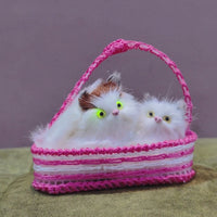Viral Sleeping Cat