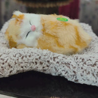 Sleeping cat toy