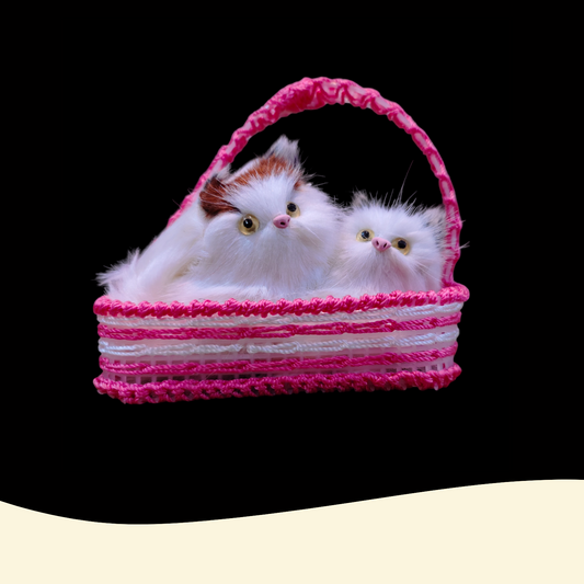 Viral Sleeping Cat
