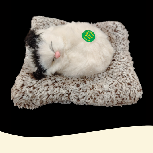 Sleeping cat toy